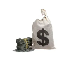 $50,000 Vintage Look Money With Money Bag - Blank Fillers
