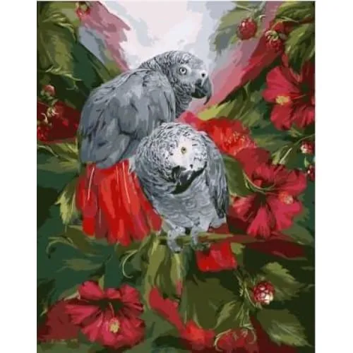 African Gray Parrots – Canvastly DIY Paint By Numbers