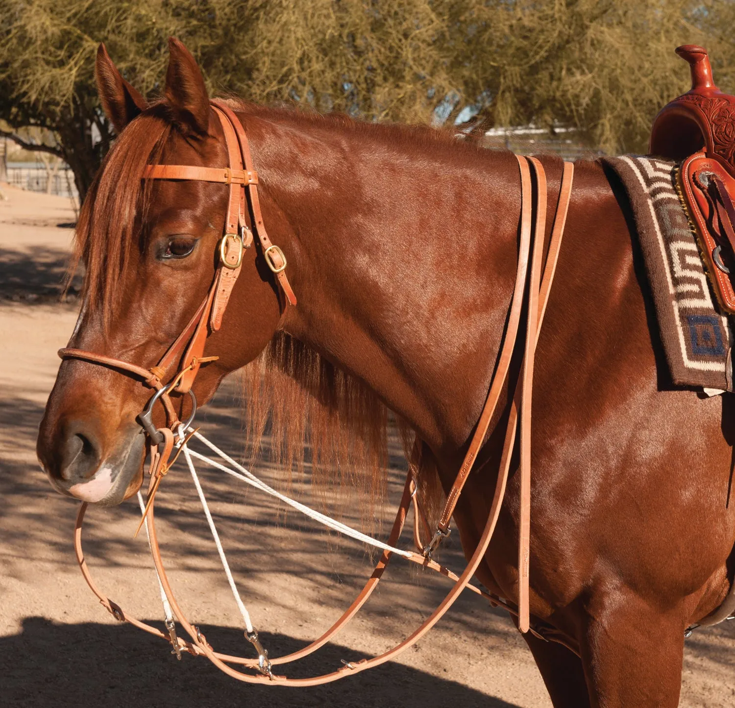 Al Dunning's German Martingale