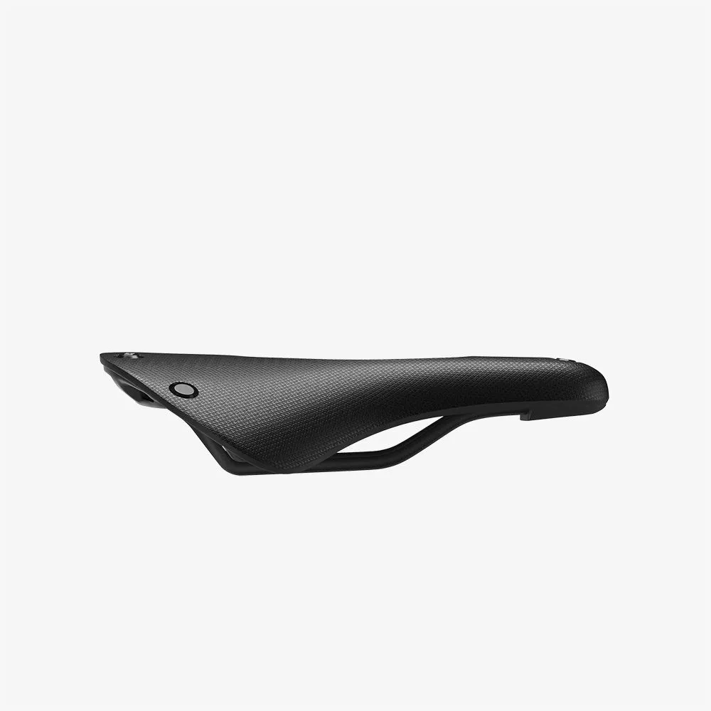 Cambium C19 Carved