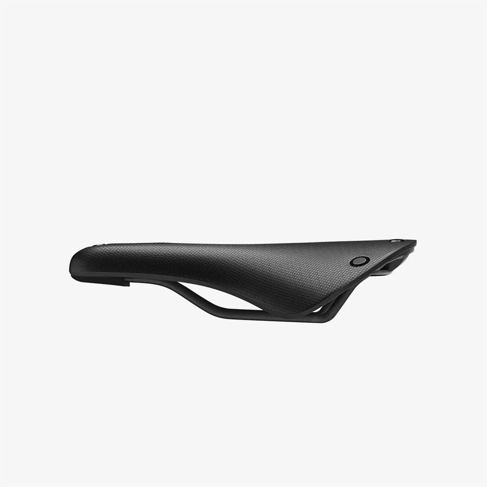 Cambium C19 Carved