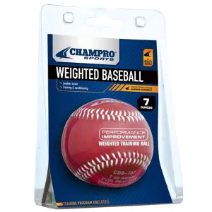 Champro Weighted Training Baseballs