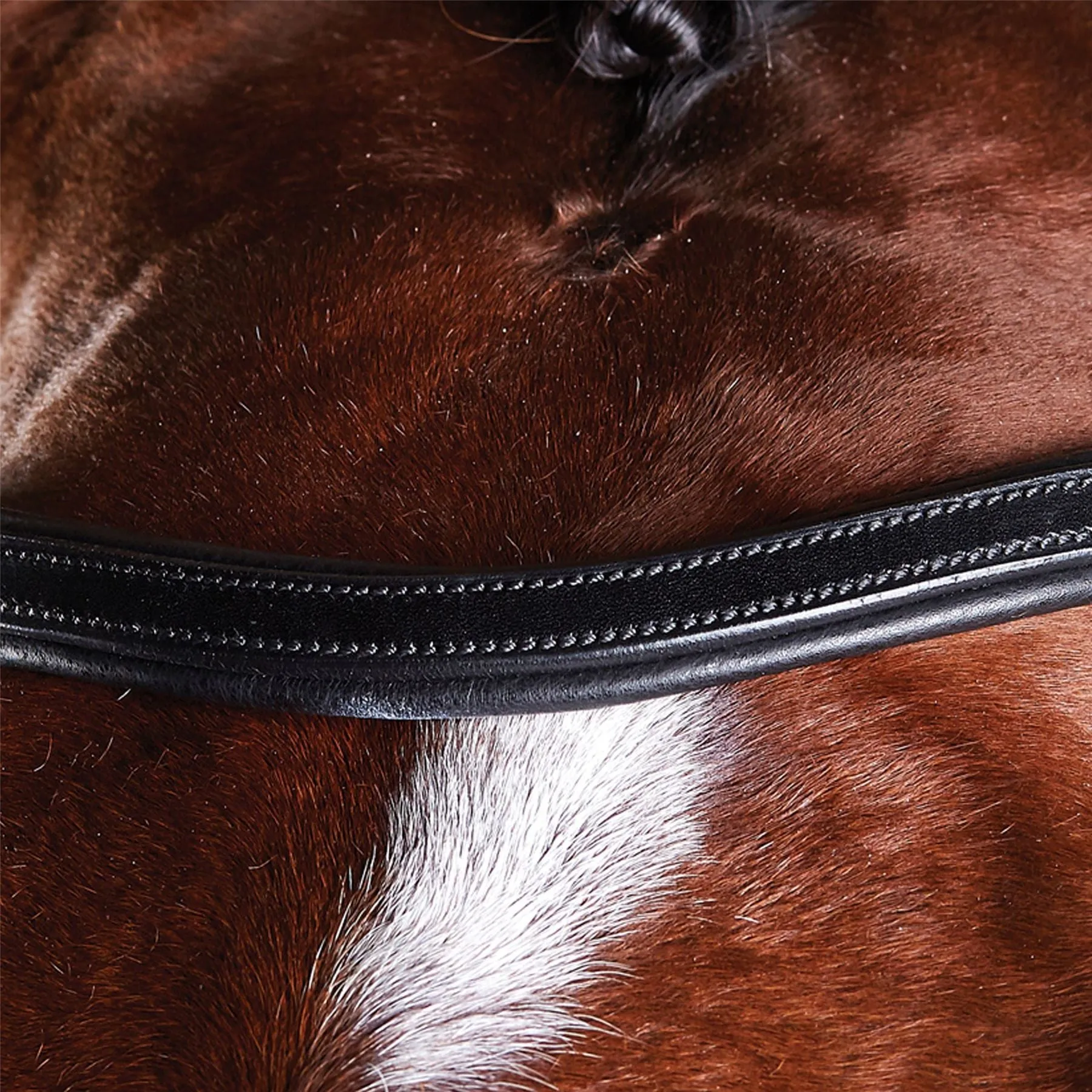 Collegiate Comfitec Training Bridle