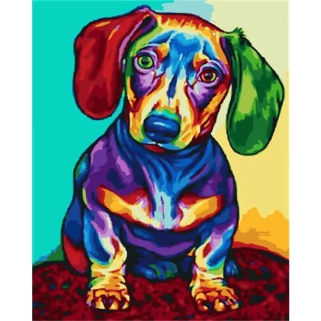 Colorful Dachshund – Canvastly DIY Paint By Numbers