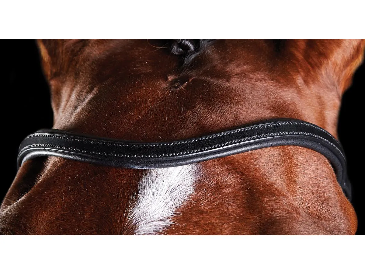 ComFiTec Training Bridle - Black