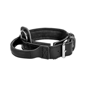 Dingo Gear DRAGO Leather Collar with Handle