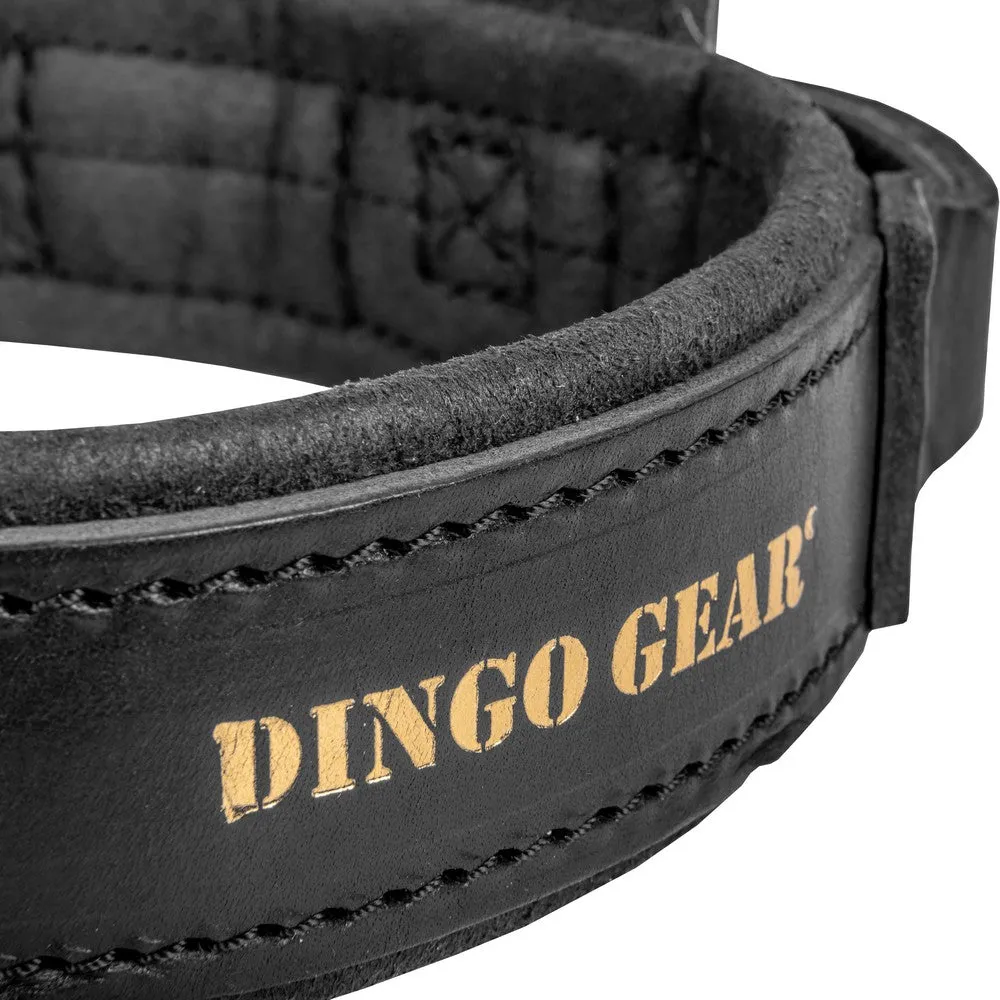 Dingo Gear DRAGO Leather Collar with Handle