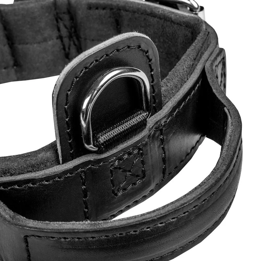 Dingo Gear DRAGO Leather Collar with Handle