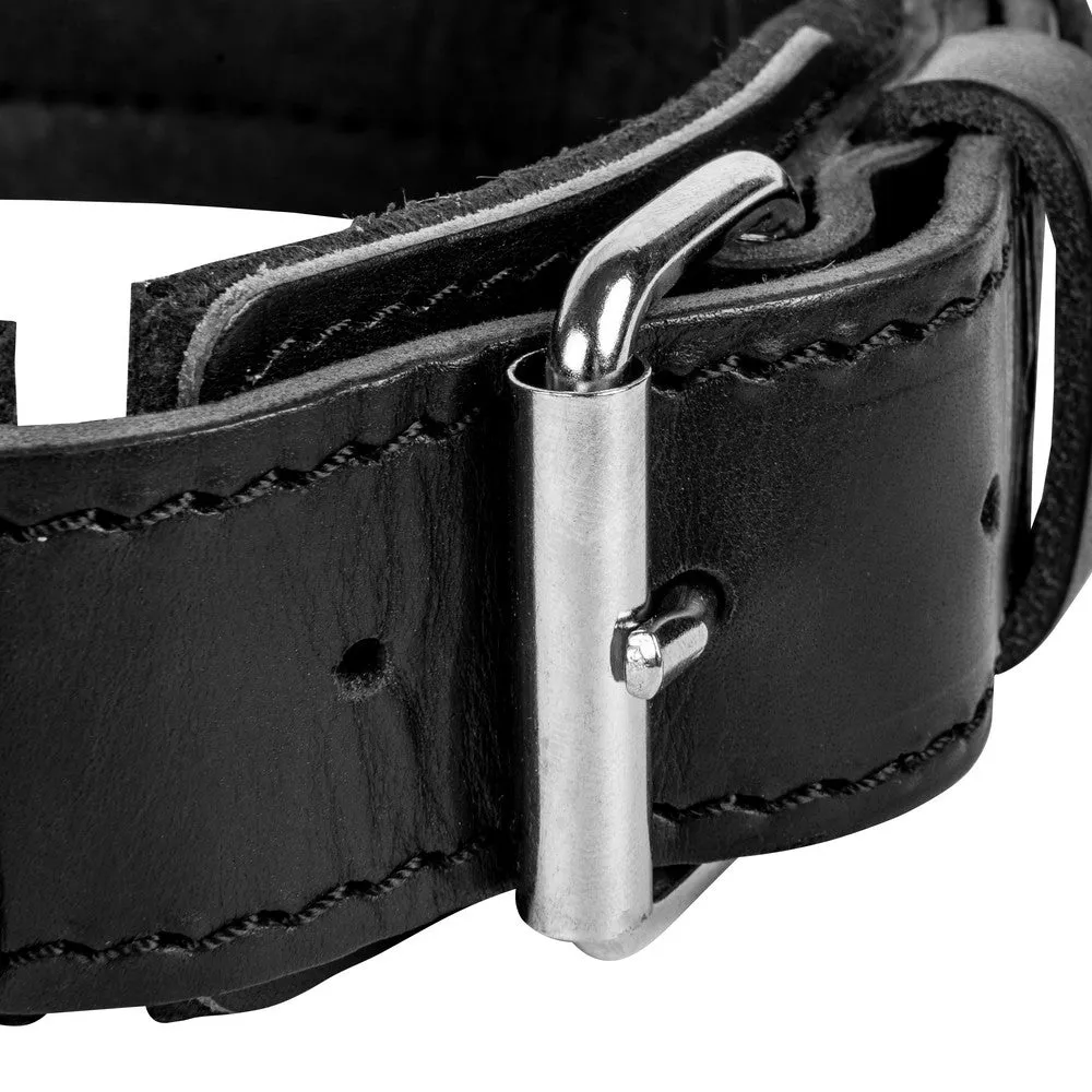 Dingo Gear DRAGO Leather Collar with Handle