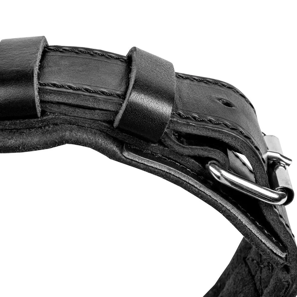 Dingo Gear DRAGO Leather Collar with Handle