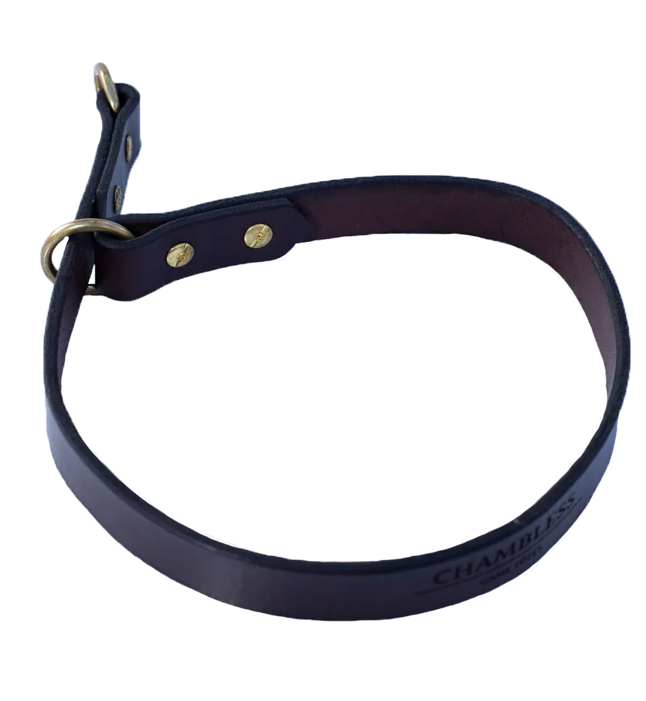 Durham Dog Training Flank Collar