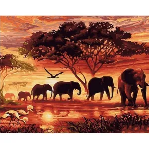 Elephant Landscape - Canvastly DIY Paint By Numbers