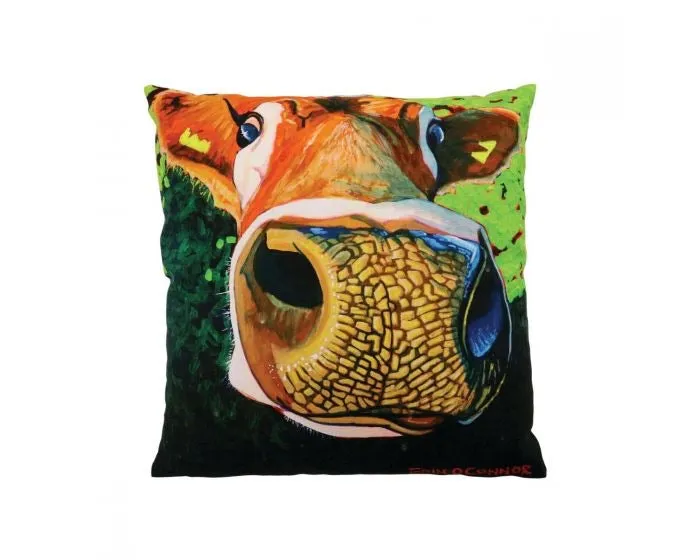 Eoin O’ Connor Reach For The Stars Cushion