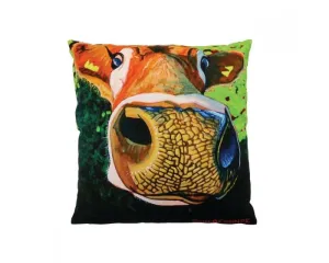 Eoin O’ Connor Reach For The Stars Cushion