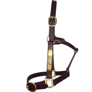 Hamag Thoroughbred Halter Custom with two Name Plates