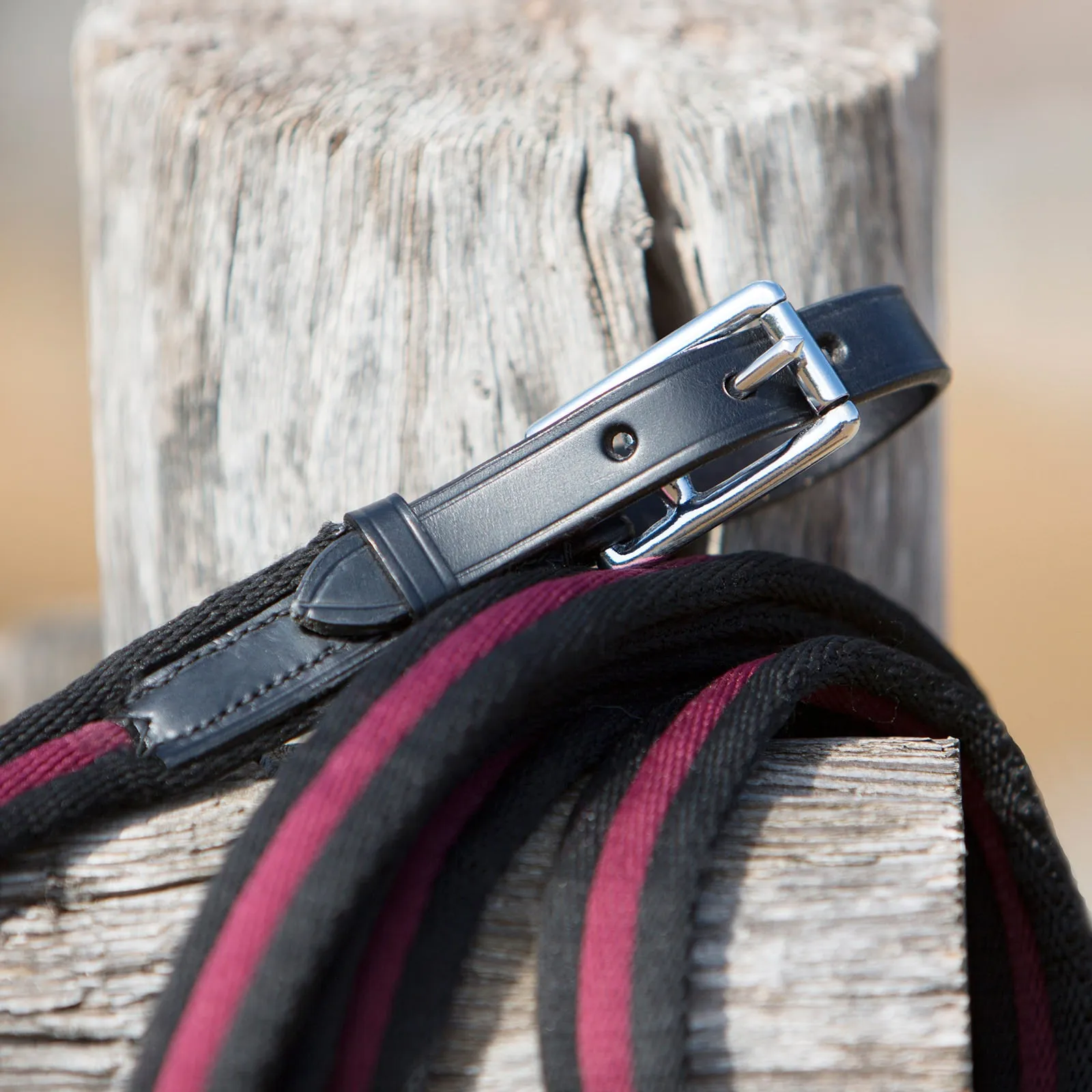 Kieffer Anja Beran Soft Lunging Lead