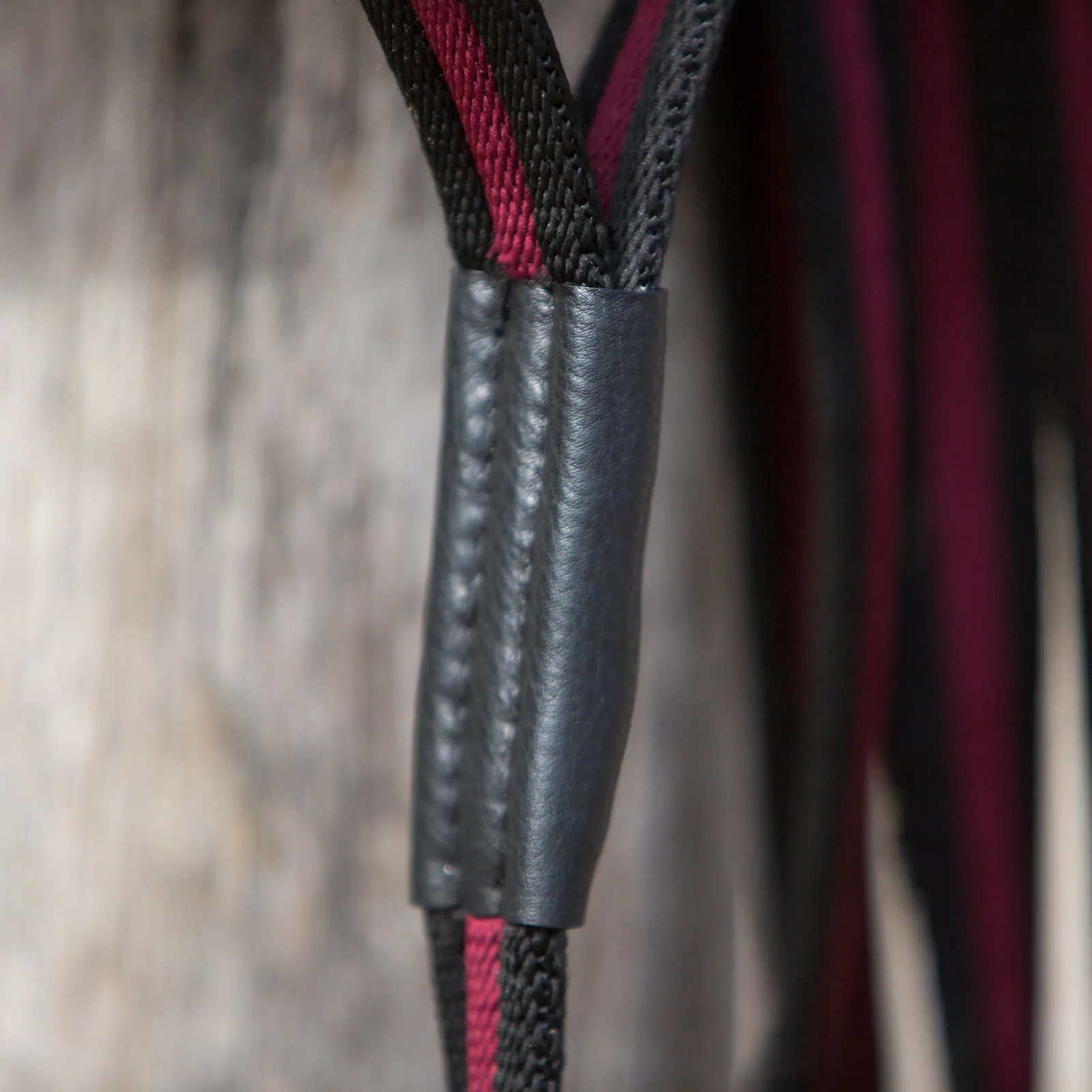 Kieffer Anja Beran Soft Lunging Lead