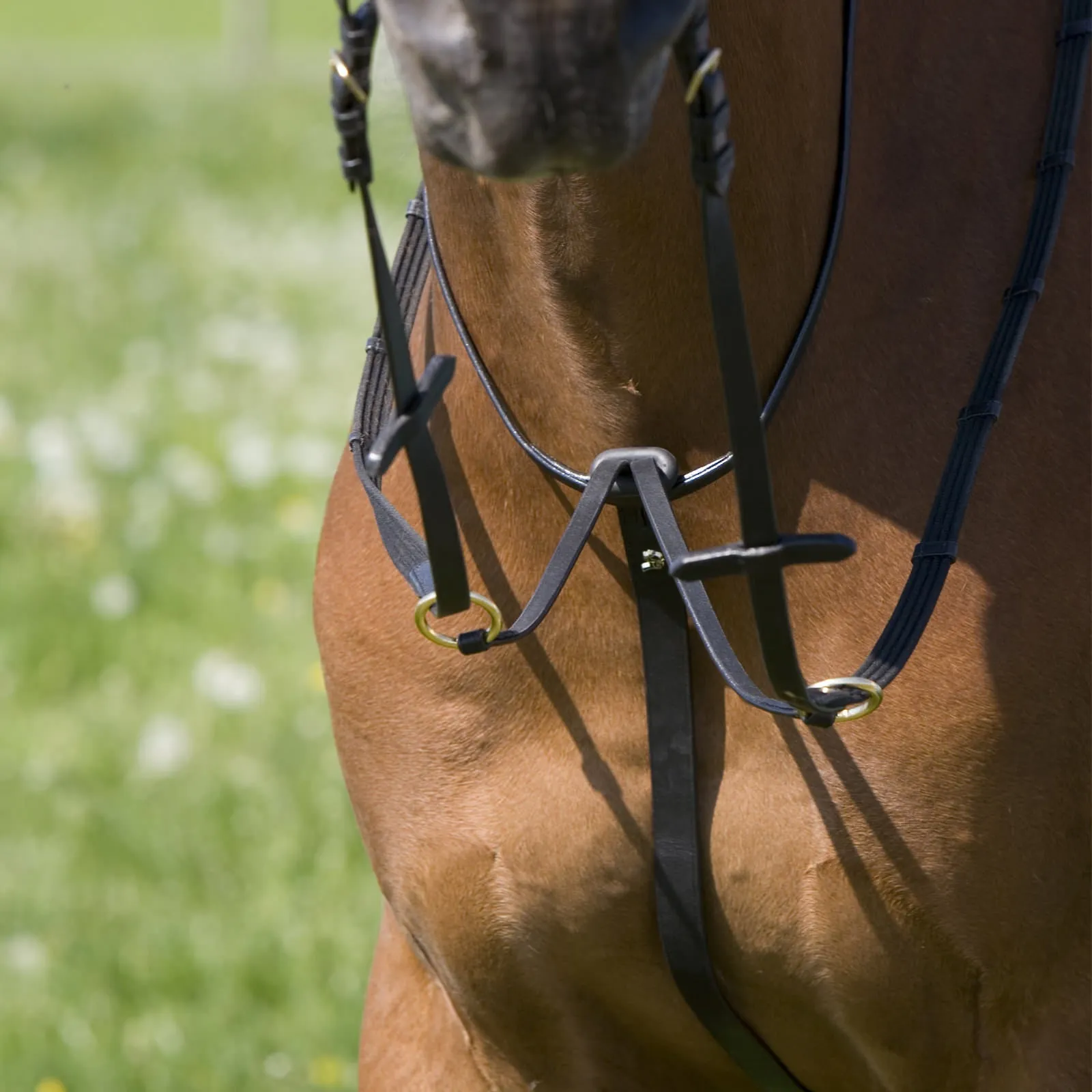Kieffer Belinda Martingale