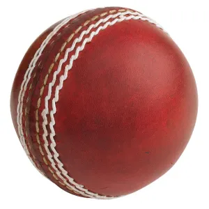 Kingsport Autograph Ball