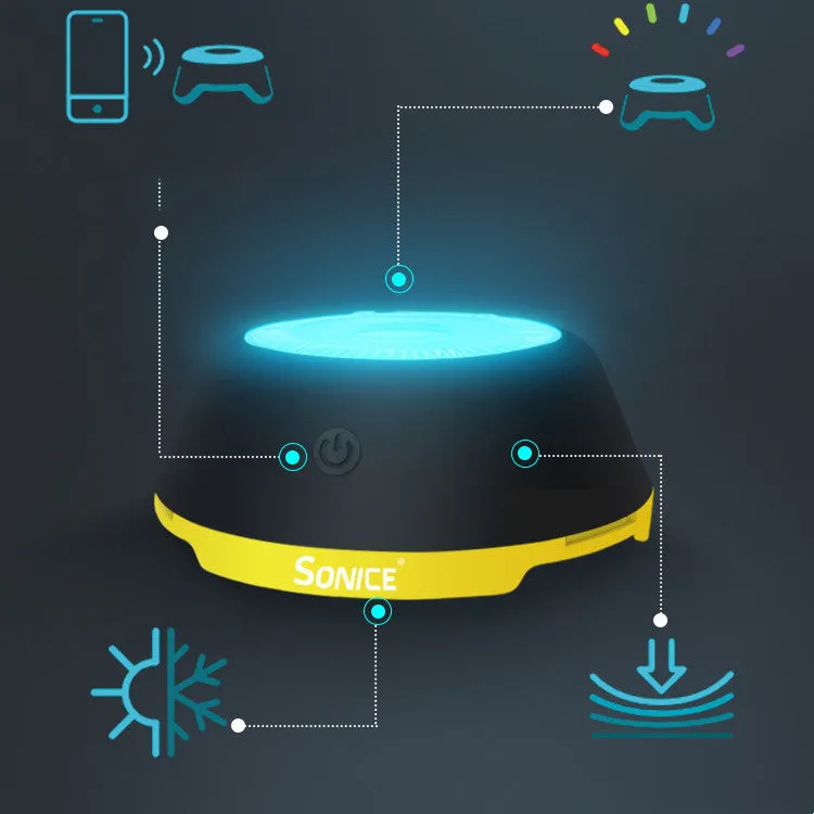 LED Agility Light