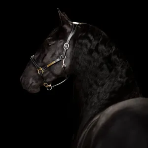 Lumiere Bella Leather Halter (L3940)