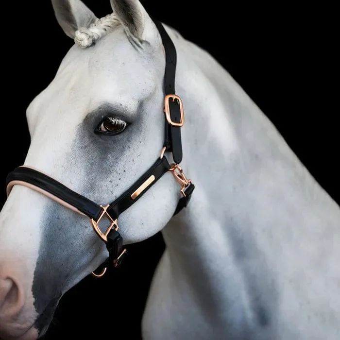 Lumiere Hollywood Leather Halter (L22202)