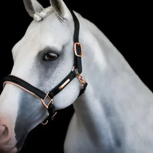 Lumiere Hollywood Leather Halter (L22202)