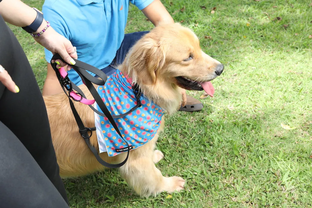 MULTI-ADVENTURE  DOG LEASH
