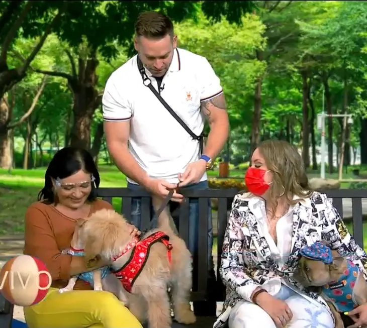 MULTI-ADVENTURE  DOG LEASH