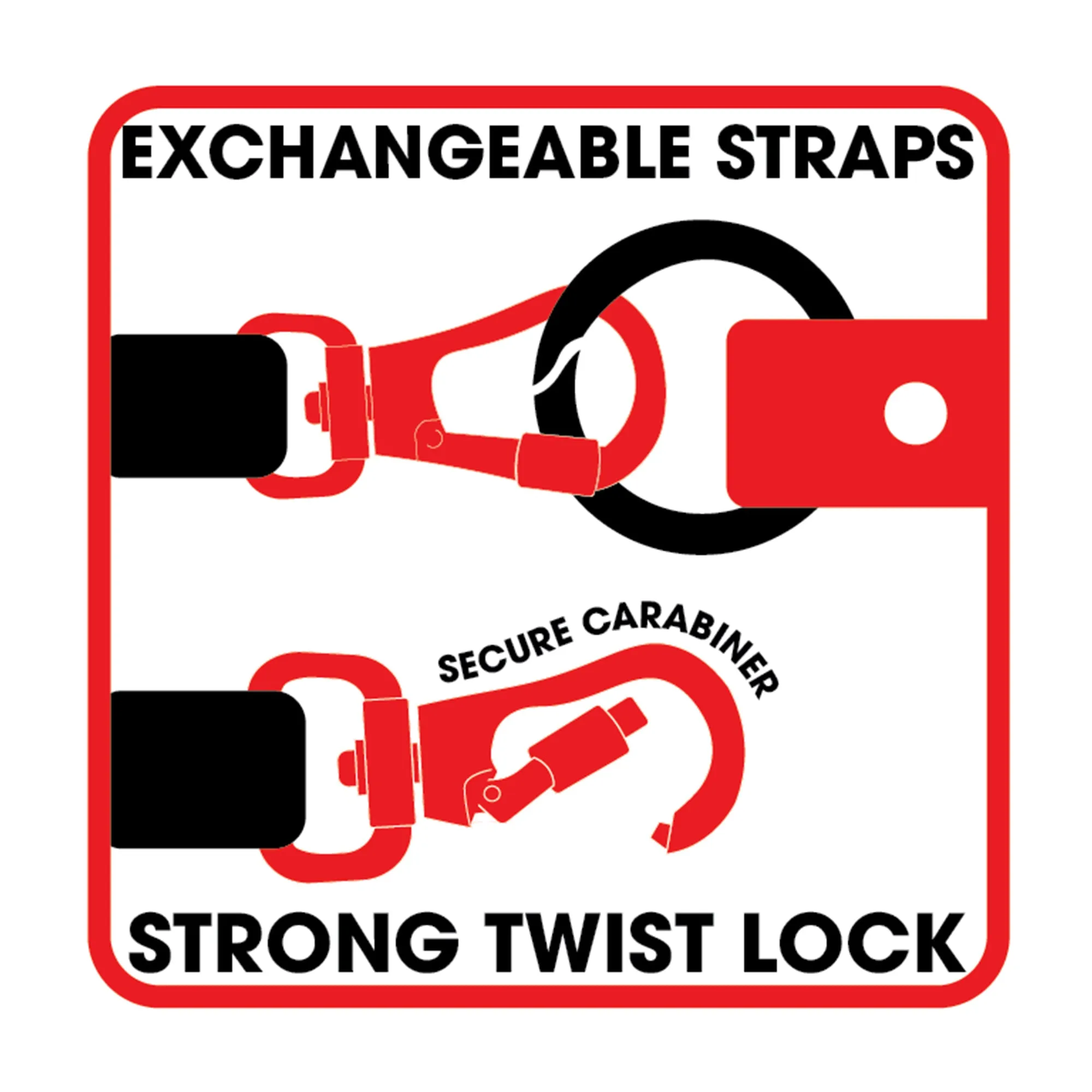 MULTI-ADVENTURE  DOG LEASH
