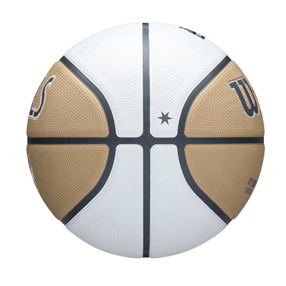 NBA Team City Edition Icon Basketball 2024/25 - Chicago Bulls