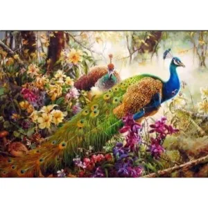 Peacock - Canvastly DIY Paint By Numbers
