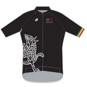 PERFORMANCE  ECO Jersey