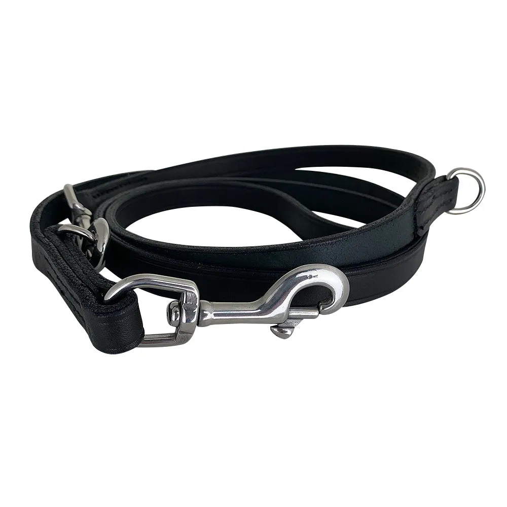 Porter Dog Training Lead