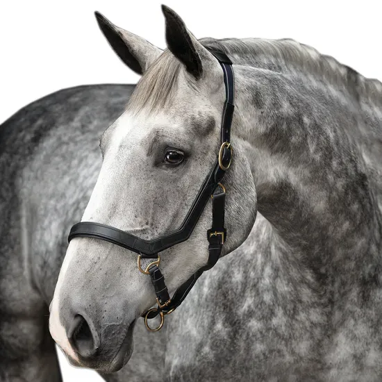 Rambo® Micklem Leather Halter