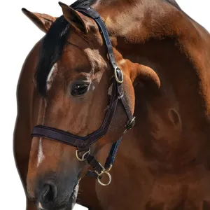 Rambo® Micklem Leather Halter