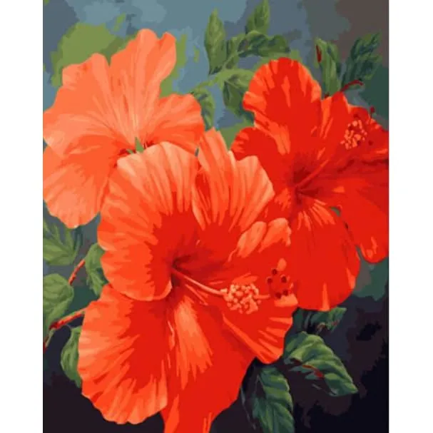 Red Hibiscus – Canvastly DIY Paint By Numbers