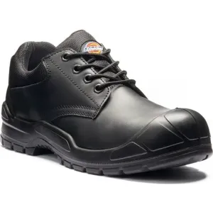 Safety Shoe Trenton Dickies / Buy Online