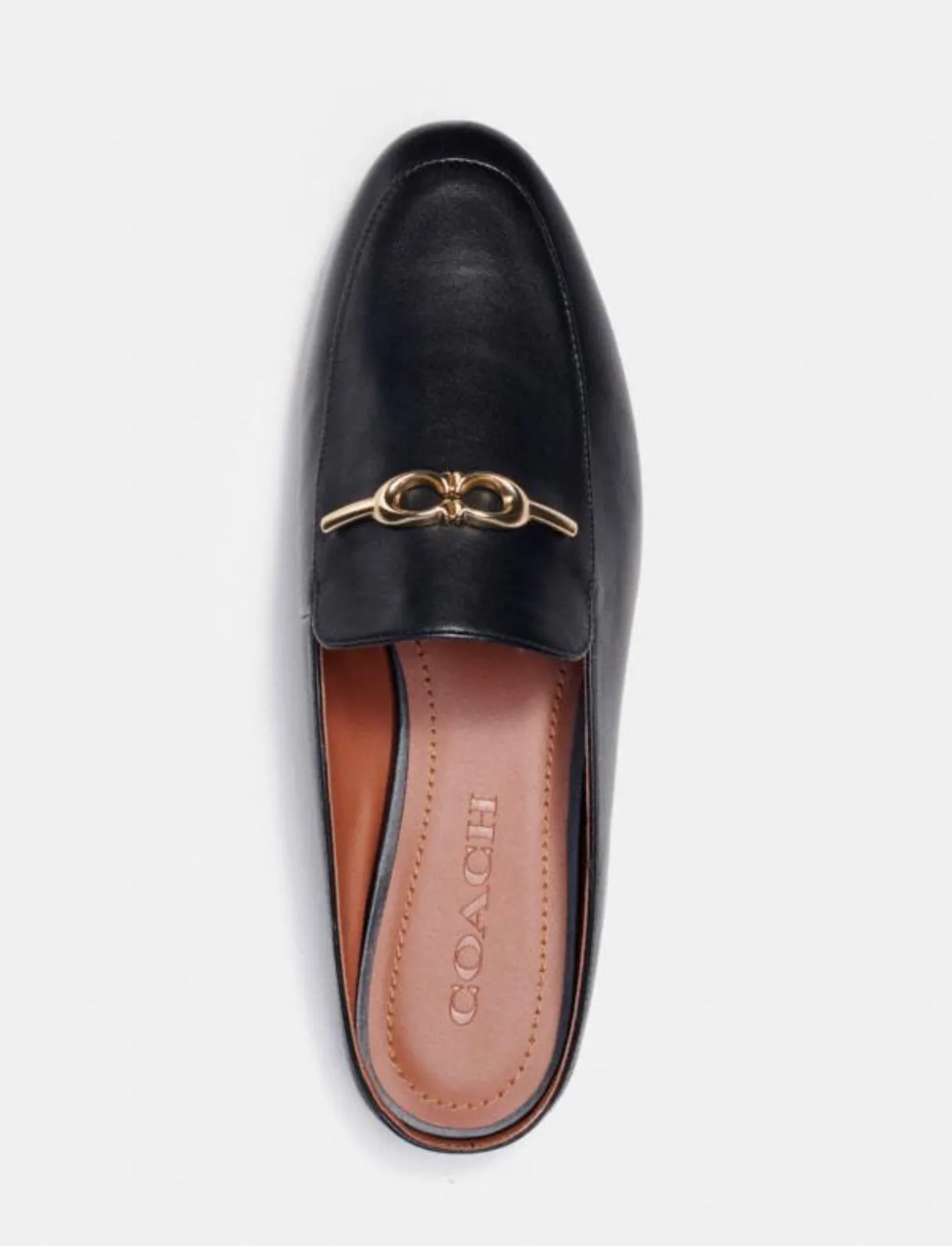 Sienna Slide