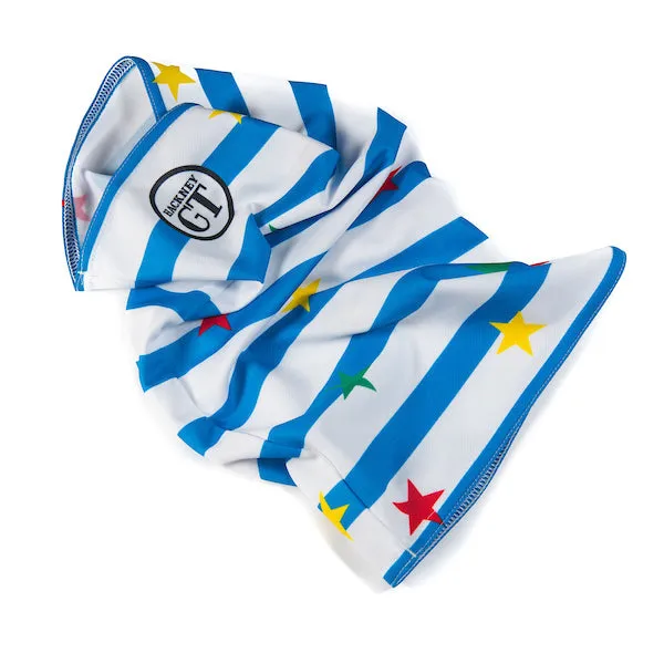 Stars and Stripes all-lycra jersey