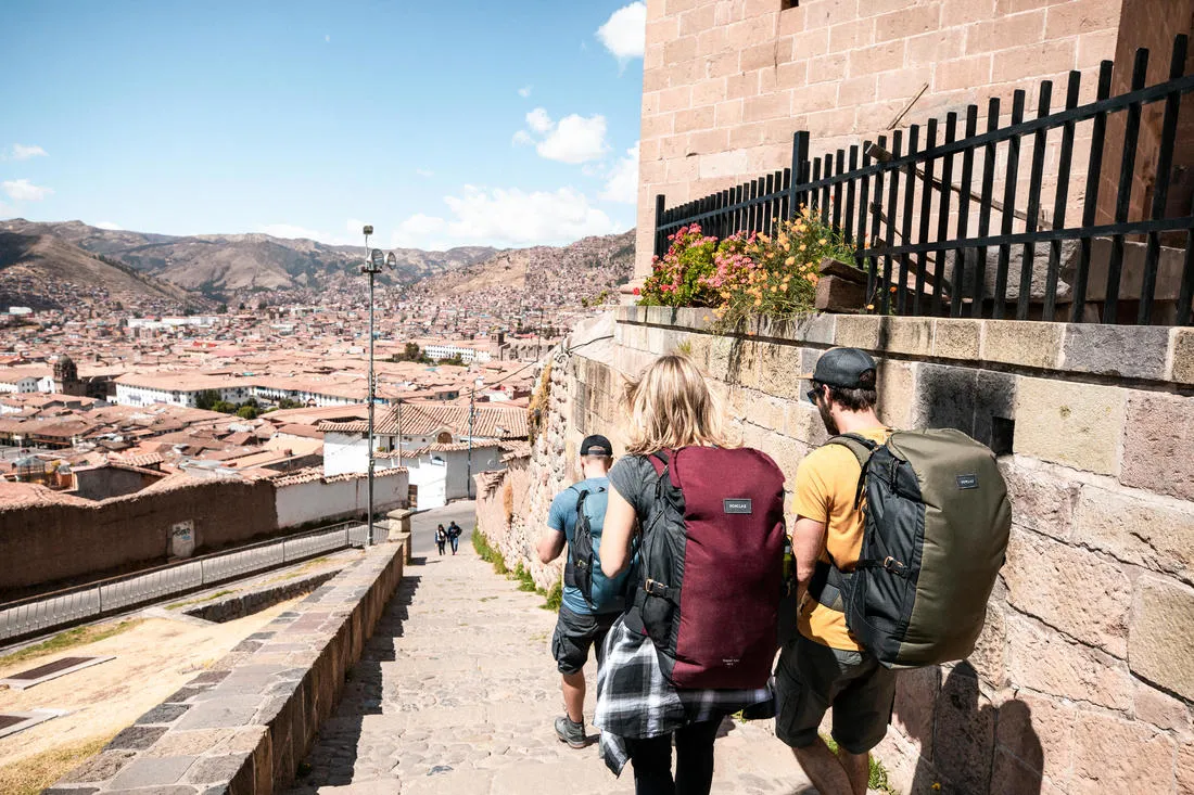 Trekking and travel backpack 60 L - TRAVEL 100