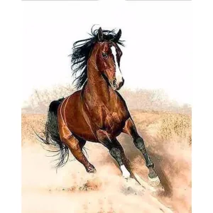 Wild And Free - Canvastly DIY Paint By Numbers